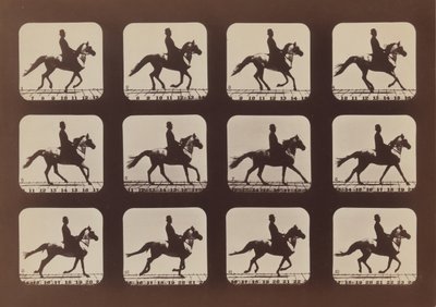 Attitudes of Animals in Motion, 1879, tryckt 1881. av Eadweard Muybridge