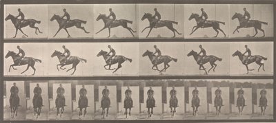 [Häst och ryttare galopperande], 1883-86, tryckt 1887. av Eadweard Muybridge