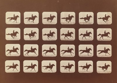 Hästar. Löpning. Phyrne L. nr 40, 1879. av Eadweard Muybridge