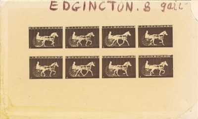 Internegativ för hästar. Trav. Abe Edgington. nr 28, 1878. av Eadweard Muybridge