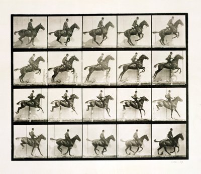 Man och häst hoppar ett staket, 1887 av Eadweard Muybridge