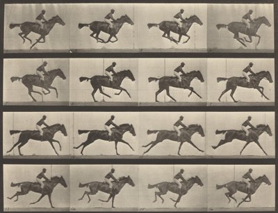 Plåtnummer 626. Galopp, fullblods buksto, Annie G., 1887. av Eadweard Muybridge