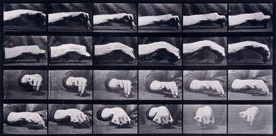 A Motion Study of a Hand, c.1872-1885 av Eadweard Muybridge