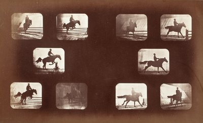 Djurens rörelser (man till häst över hinder) av Eadweard Muybridge