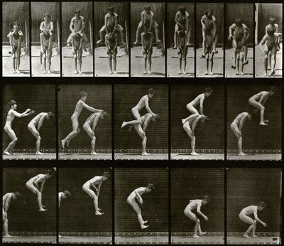 Djurens förflyttning av Eadweard Muybridge