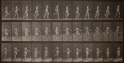 Djurens förflyttning, plansch 174 av Eadweard Muybridge