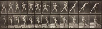 Djurrörelse, skylt 319, 1887 av Eadweard Muybridge