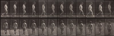 Animal Locomotion, tallrik 467 av Eadweard Muybridge