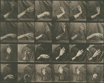 Djurens förflyttning, plansch 535 av Eadweard Muybridge