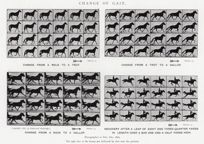 Eadweard Muybridge: Change of Gait (s/v foto) av Eadweard Muybridge