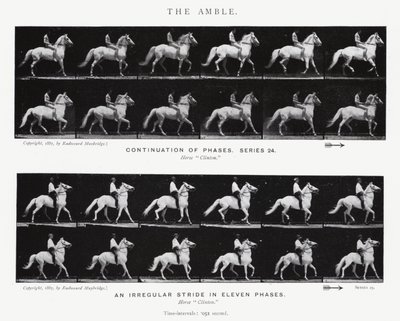 Eadweard Muybridge: The Amble (s/v foto) av Eadweard Muybridge
