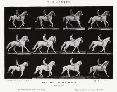 Eadweard Muybridge: The Canter (s/v foto) av Eadweard Muybridge