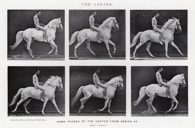Eadweard Muybridge: The Canter (s/v foto) av Eadweard Muybridge