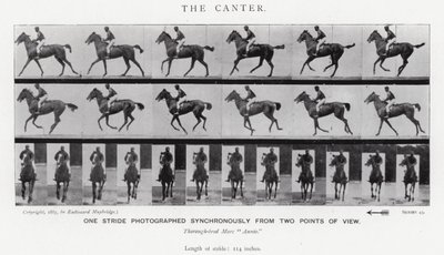 Eadweard Muybridge: The Canter (s/v foto) av Eadweard Muybridge