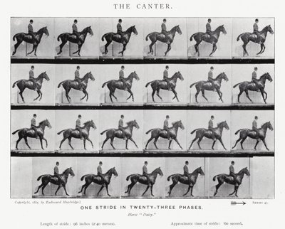 Eadweard Muybridge: Galoppen av Eadweard Muybridge