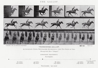 Eadweard Muybridge: The Gallop (s/v foto) av Eadweard Muybridge