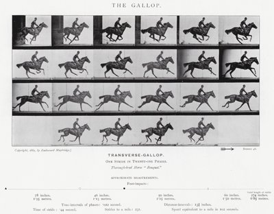 Eadweard Muybridge: The Gallop (s/v foto) av Eadweard Muybridge