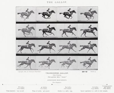 Eadweard Muybridge: The Gallop (s/v foto) av Eadweard Muybridge