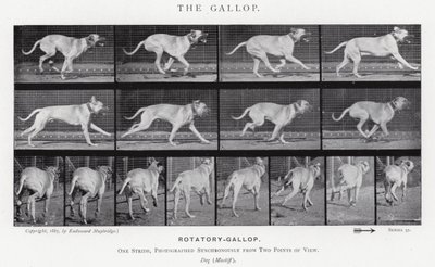 Eadweard Muybridge: The Gallop (s/v foto) av Eadweard Muybridge