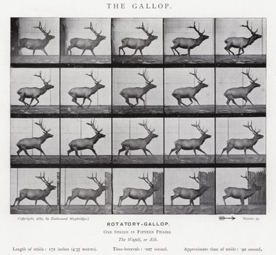 Eadweard Muybridge: The Gallop (s/v foto) av Eadweard Muybridge