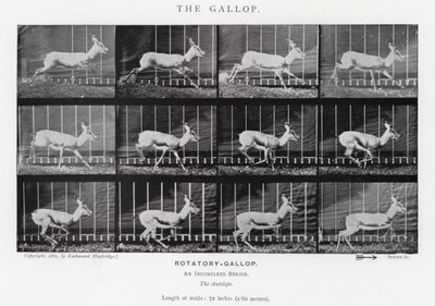 Eadweard Muybridge: The Gallop (s/v foto) av Eadweard Muybridge