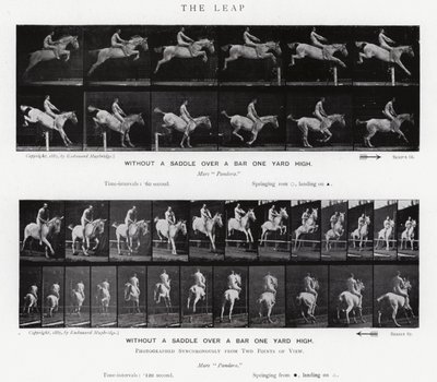 Eadweard Muybridge: The Leap (s/v foto) av Eadweard Muybridge
