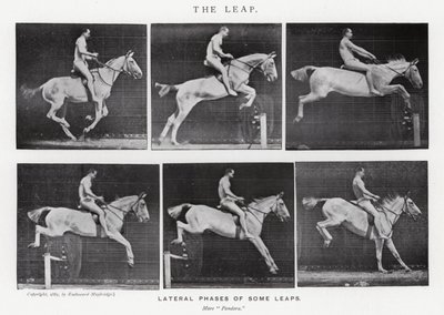 Eadweard Muybridge: The Leap (s/v foto) av Eadweard Muybridge