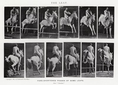 Eadweard Muybridge: The Leap (s/v foto) av Eadweard Muybridge