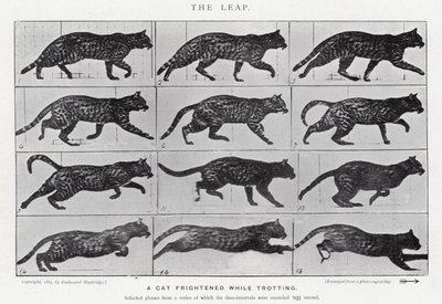 Eadweard Muybridge: The Leap (s/v foto) av Eadweard Muybridge