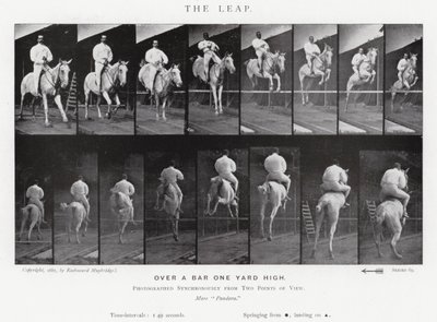 Eadweard Muybridge: The Leap (s/v foto) av Eadweard Muybridge