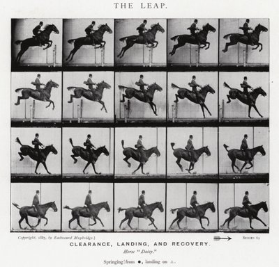 Eadweard Muybridge: The Leap (s/v foto) av Eadweard Muybridge