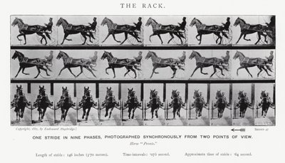 Eadweard Muybridge: The Rack (s/v foto) av Eadweard Muybridge