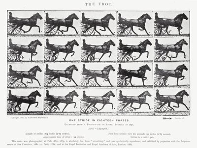 Eadweard Muybridge: The Trot (s/v foto) av Eadweard Muybridge