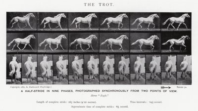Eadweard Muybridge: The Trot (s/v foto) av Eadweard Muybridge