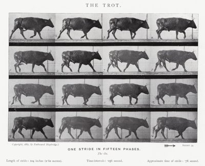 Eadweard Muybridge: The Trot (s/v foto) av Eadweard Muybridge