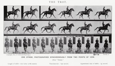 Eadweard Muybridge: The Trot (s/v foto) av Eadweard Muybridge