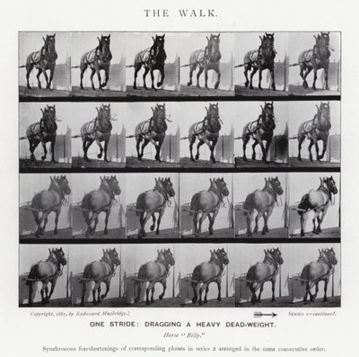 Eadweard Muybridge: The Walk (s/v foto) av Eadweard Muybridge