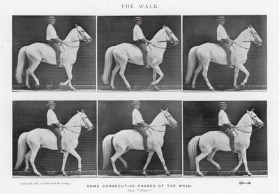 Eadweard Muybridge: The Walk (s/v foto) av Eadweard Muybridge