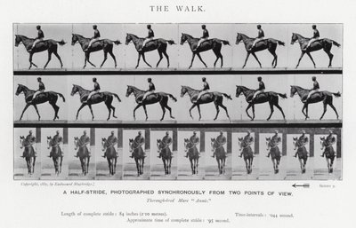 Eadweard Muybridge: The Walk (s/v foto) av Eadweard Muybridge