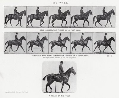 Eadweard Muybridge: The Walk (s/v foto) av Eadweard Muybridge