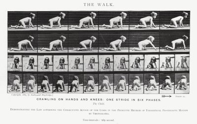 Eadweard Muybridge: The Walk (s/v foto) av Eadweard Muybridge