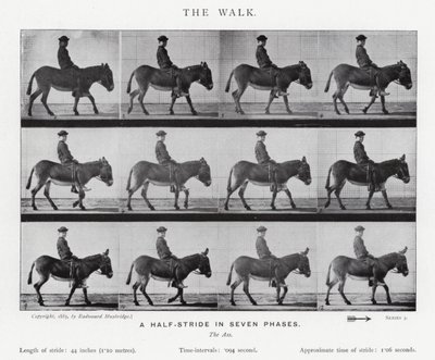 Eadweard Muybridge: The Walk (s/v foto) av Eadweard Muybridge