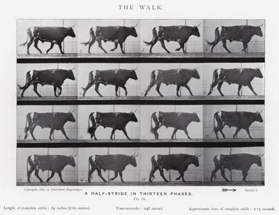 Eadweard Muybridge: The Walk (s/v foto) av Eadweard Muybridge