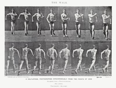 Eadweard Muybridge: The Walk (s/v foto) av Eadweard Muybridge