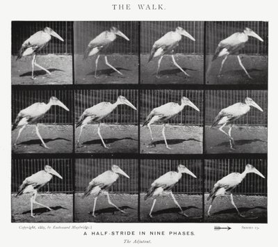 Eadweard Muybridge: The Walk (s/v foto) av Eadweard Muybridge