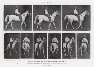 Eadweard Muybridge: The Walk (s/v foto) av Eadweard Muybridge