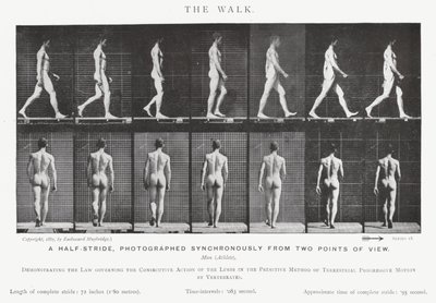 Eadweard Muybridge: The Walk (s/v foto) av Eadweard Muybridge