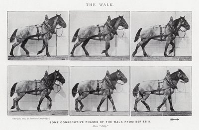 Eadweard Muybridge: The Walk (s/v foto) av Eadweard Muybridge