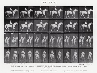 Eadweard Muybridge: The Walk (s/v foto) av Eadweard Muybridge
