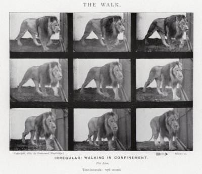 Eadweard Muybridge: The Walk (s/v foto) av Eadweard Muybridge